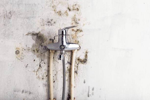 Best Mold Testing  in Lewiston, CA