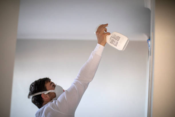Best Mold Remediation  in Lewiston, CA