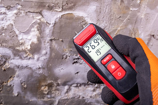 Best Mold Remediation Services  in Lewiston, CA