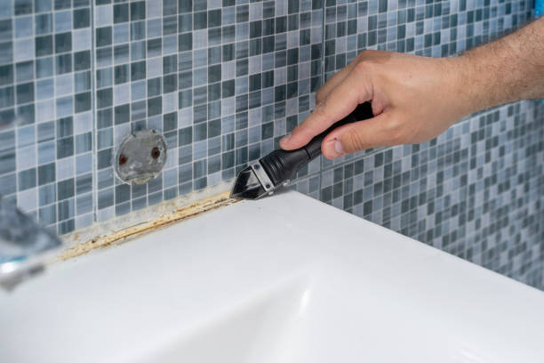 Best Local Mold Removal Service  in Lewiston, CA