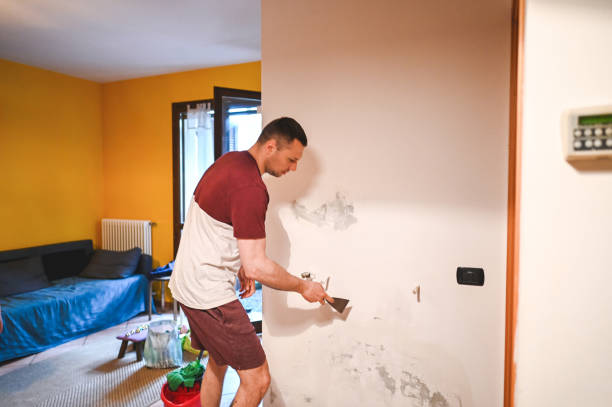 Best Professional Mold Removal  in Lewiston, CA